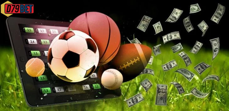 Trải nghiệm người dùng khi cá cược thể thao trên D79bet